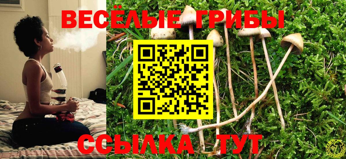 Галлюциногенные грибы Psilocybine cubensis  Вход с VPN  Южно-Сахалинск 